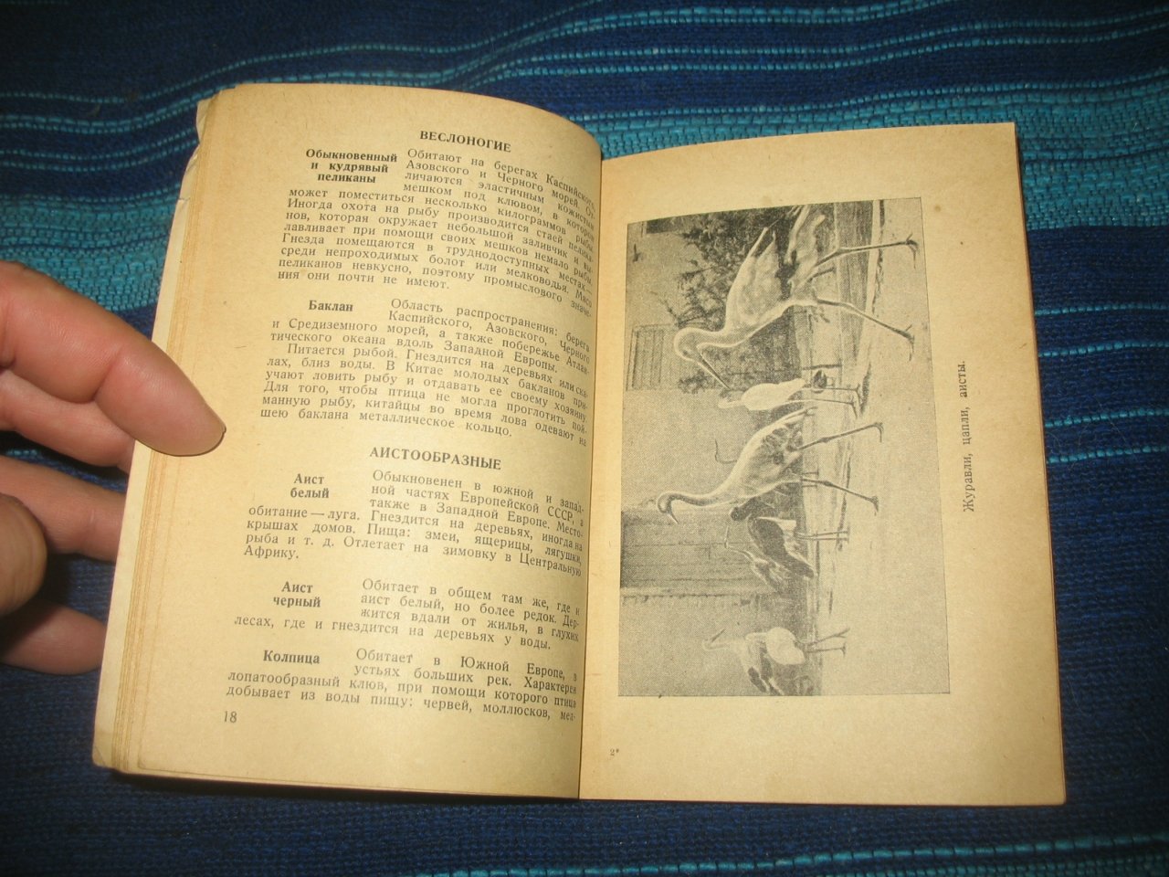 Ленинградский Зоосад.