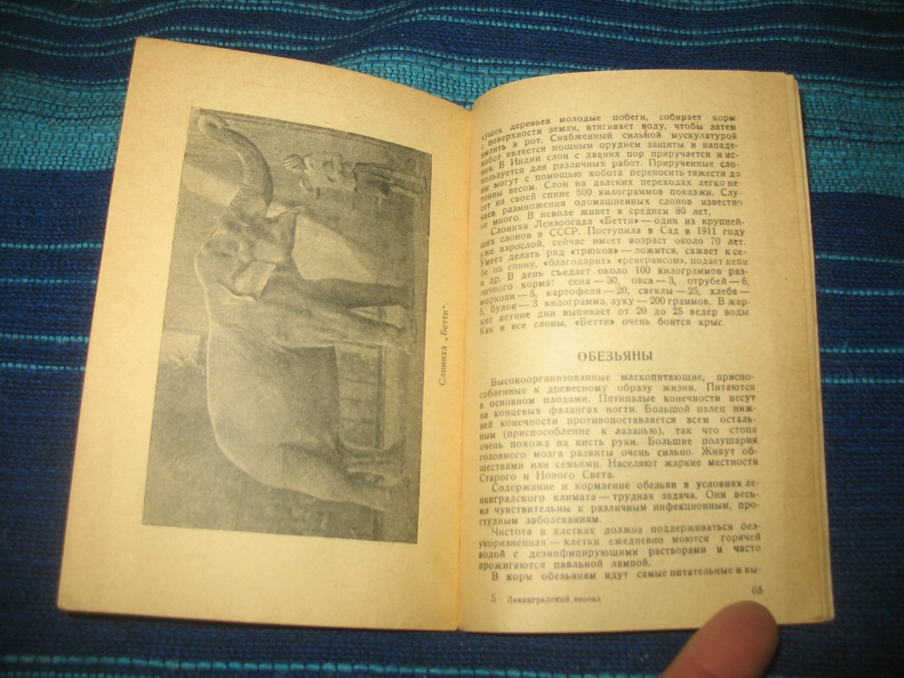 Ленинградский Зоосад.