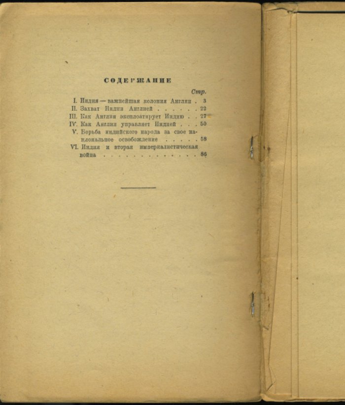 Бушевич В., Дьяков А. Индия.