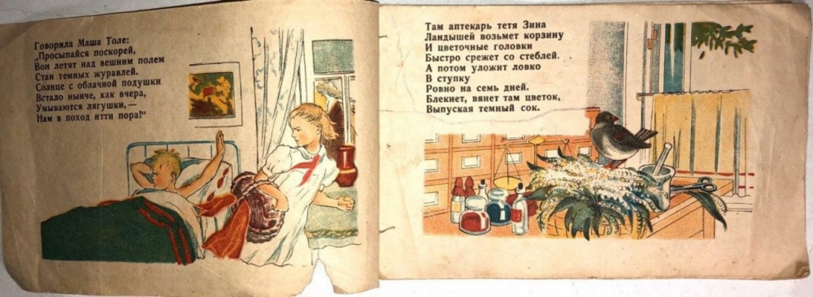 Белинович Н.С. За цветами.