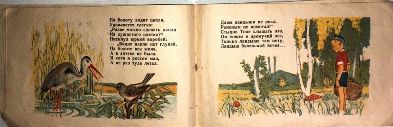 Белинович Н.С. За цветами.