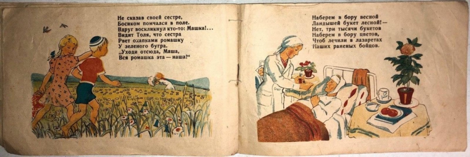 Белинович Н.С. За цветами.
