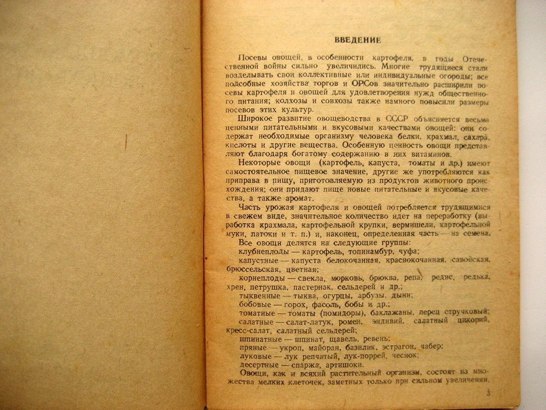 Чижевский С. В помощь кладовщику овощехранилища.