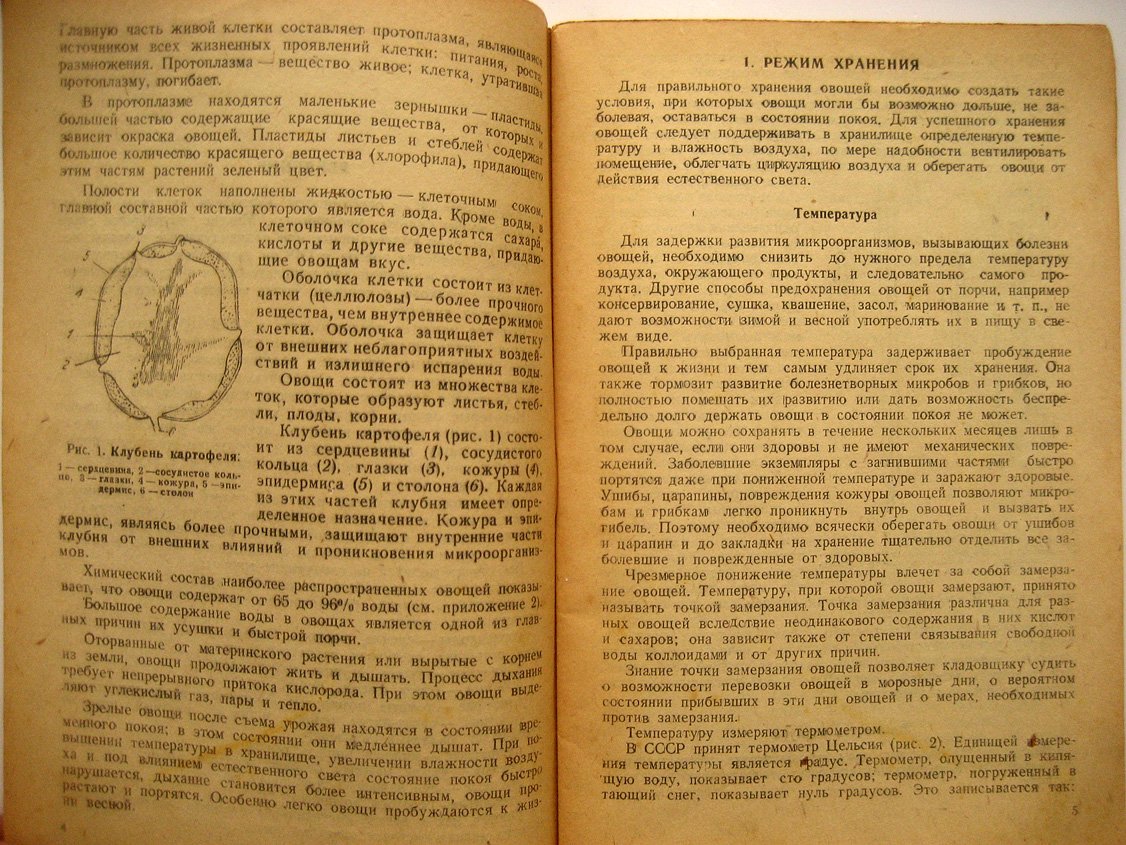 Чижевский С. В помощь кладовщику овощехранилища.