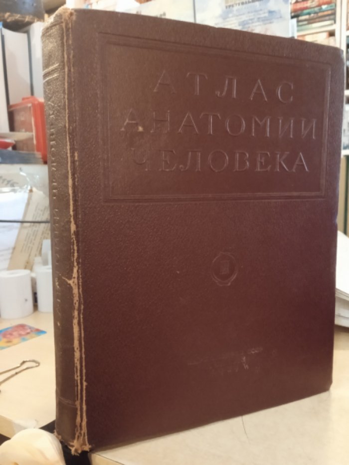 Воробьев В. - акад Атлас анатомии человека Том 3,