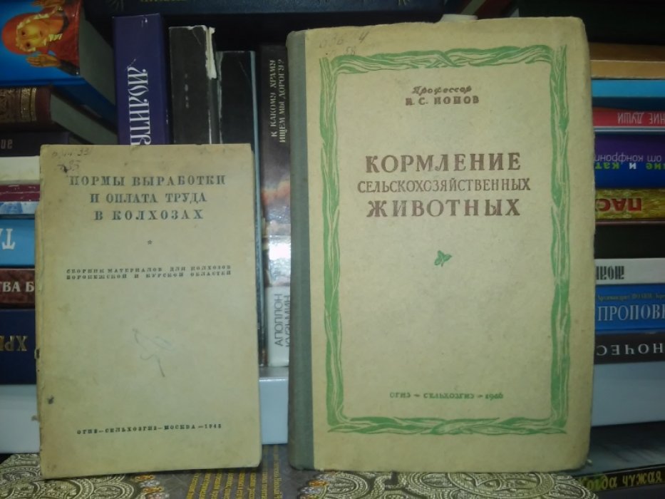 Нормы выработки и оплата труда в колхозах.