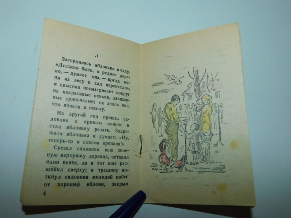Ушинский К. История одной яблоньки.