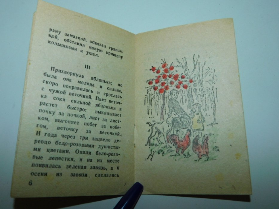 Ушинский К. История одной яблоньки.