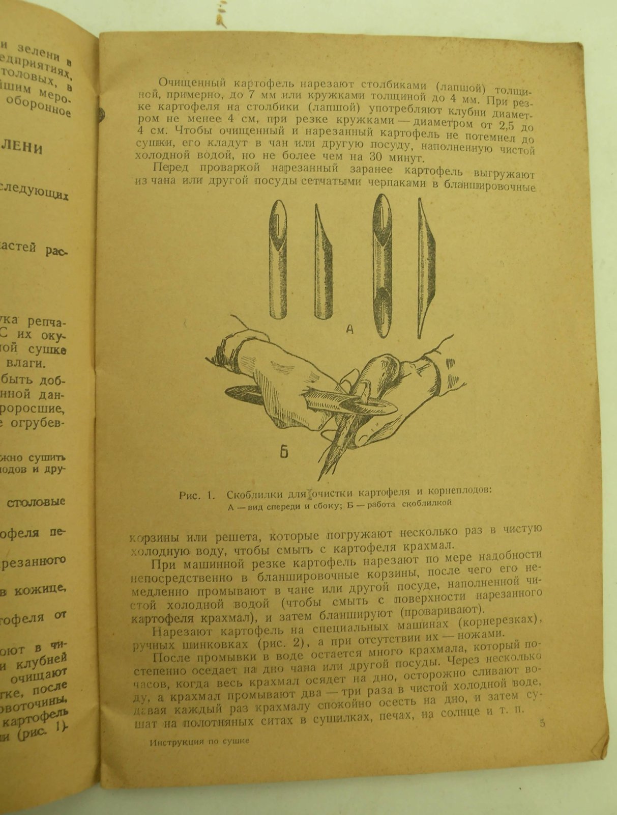 Инструкция по сушке картофеля, овощей и зелени.
