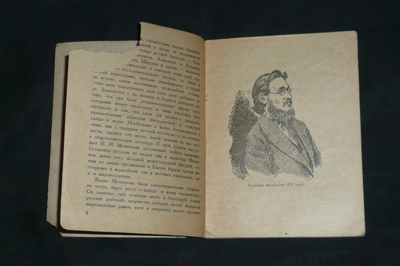 Гремяцкий М. Мечников. Его жизнь и работа.