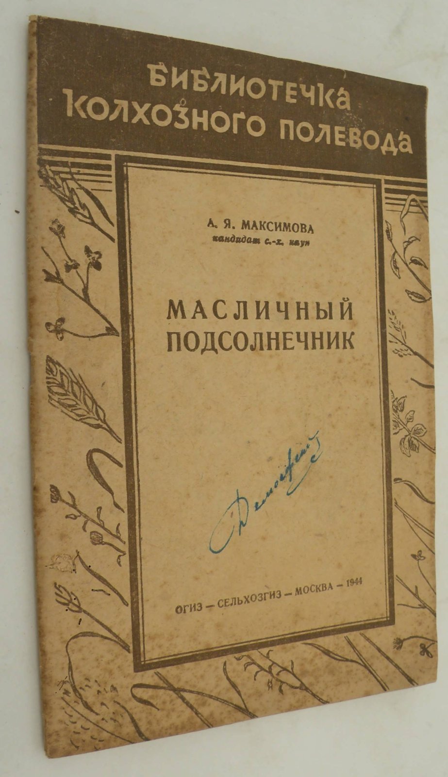 Максимова А.Я. Масляничный подсолнечник.