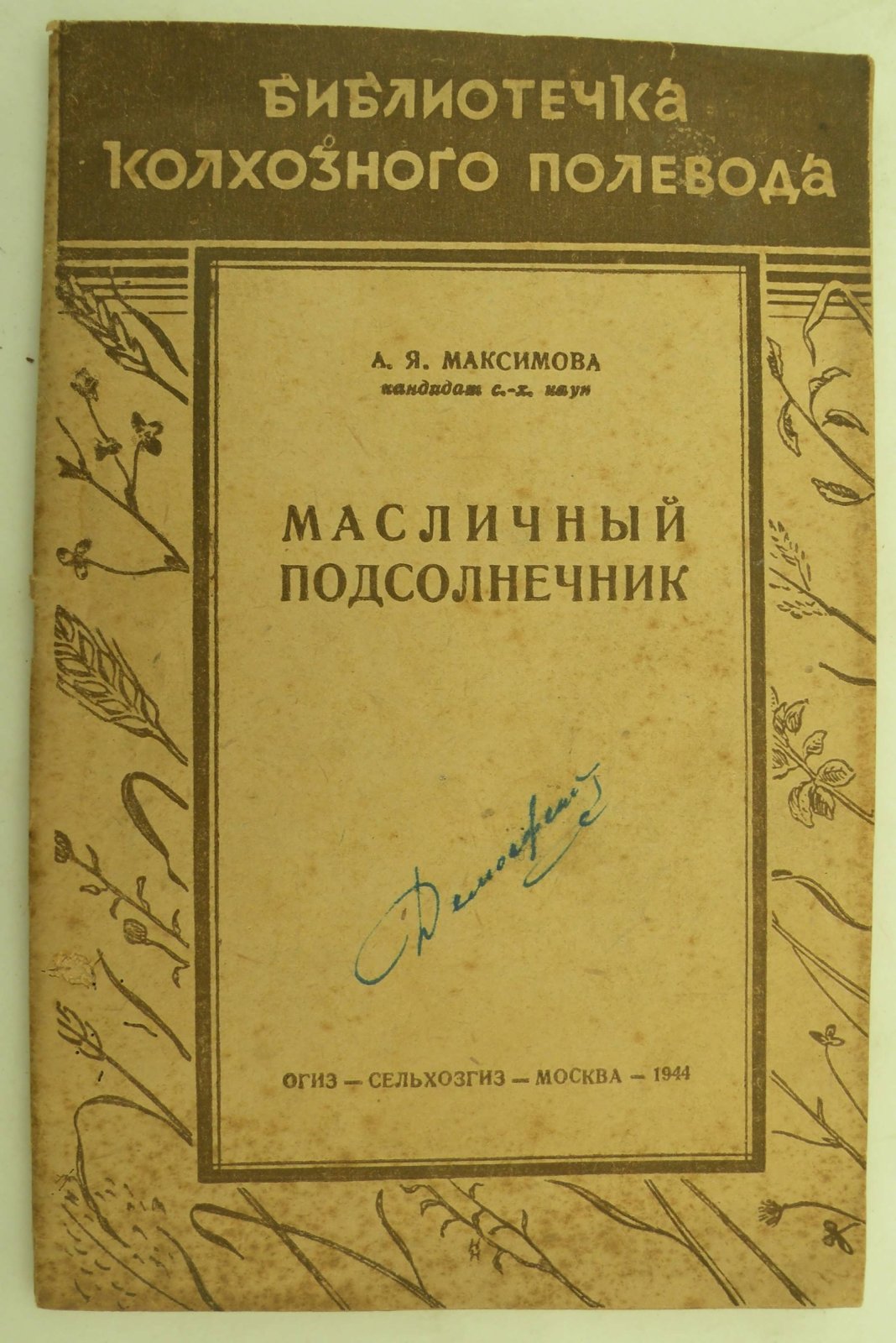 Максимова А.Я. Масляничный подсолнечник.