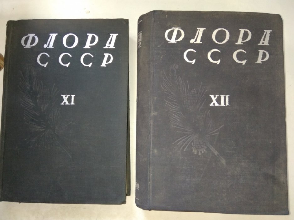 Флора СССР. Том XI.