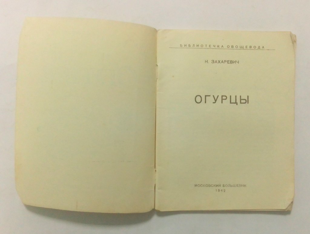 Захаревич, Н. Огурцы.