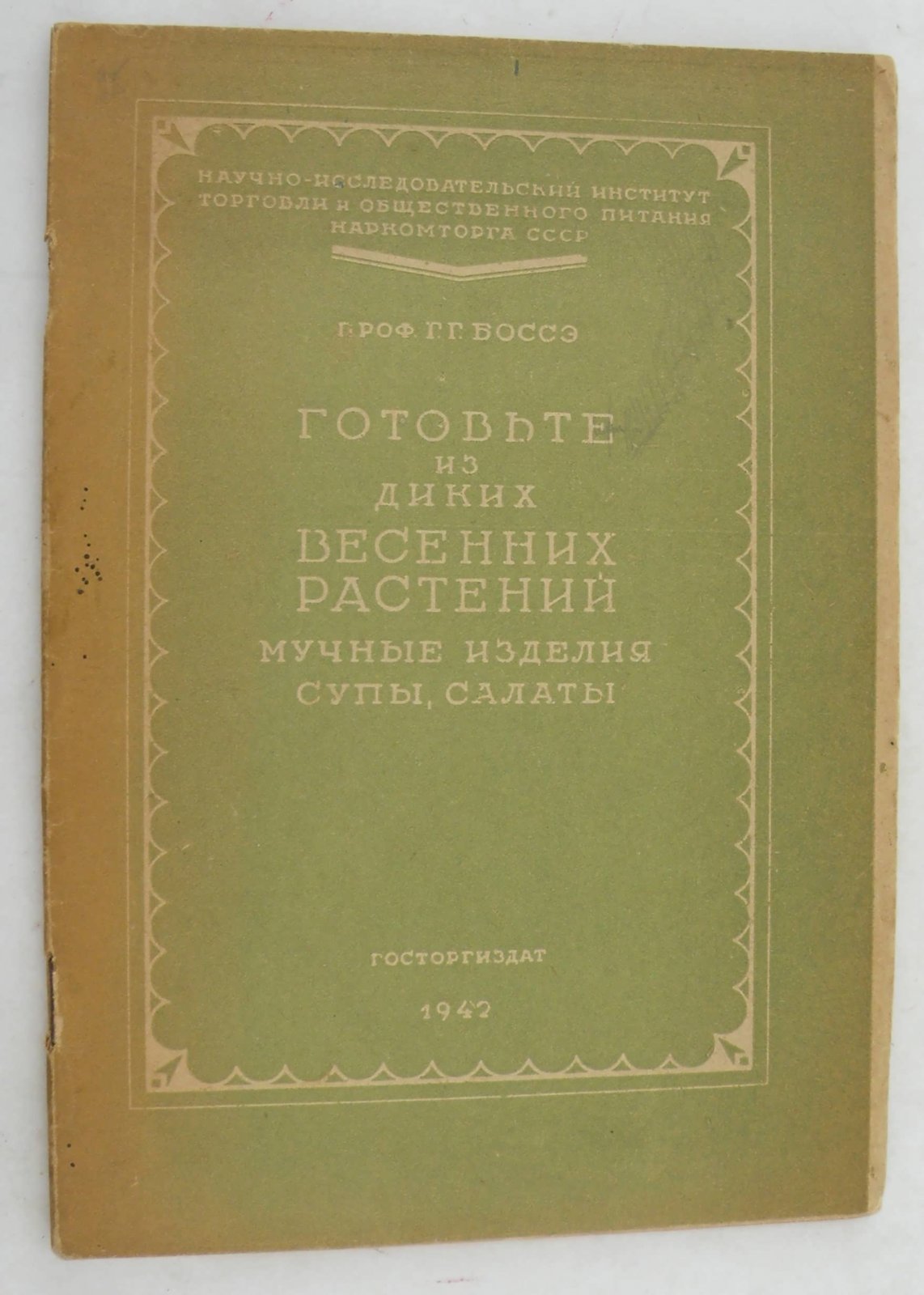 Боссэ Г.Г. Готовьте из диких весенних растений мучные изделия, супы, салаты.