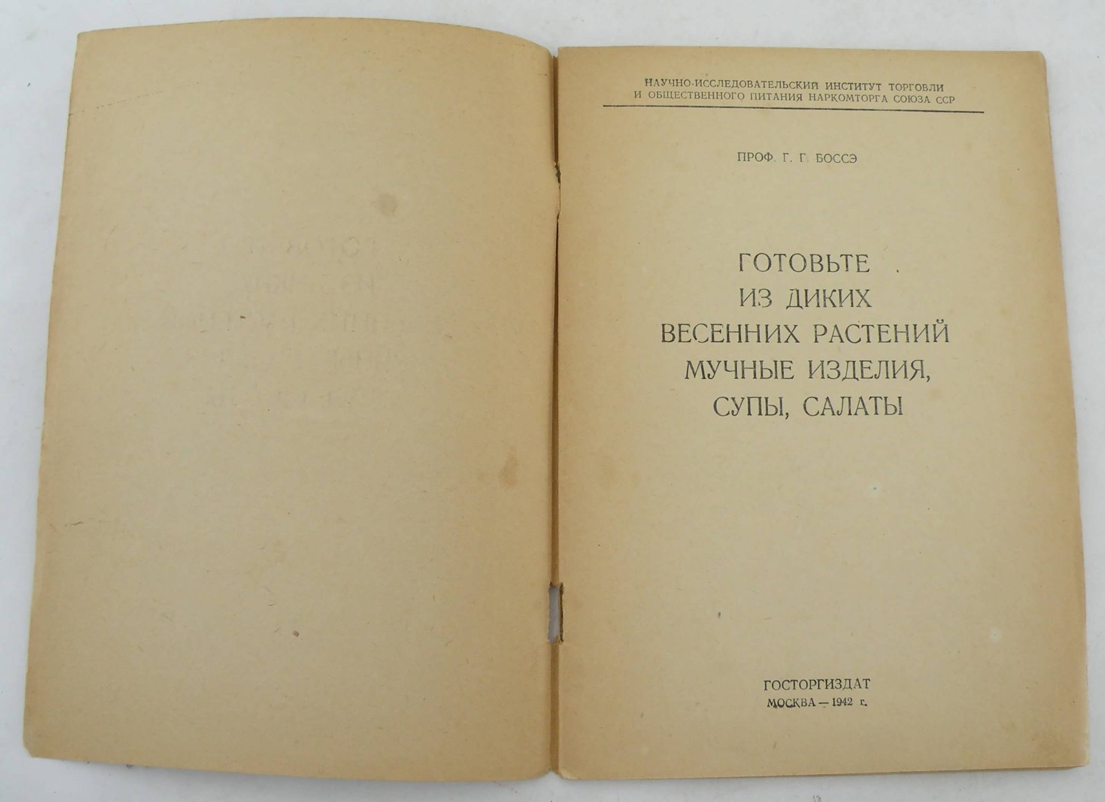 Боссэ Г.Г. Готовьте из диких весенних растений мучные изделия, супы, салаты.