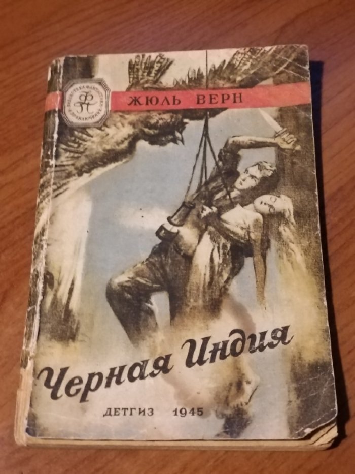 Верн Ж. Черная Индия.