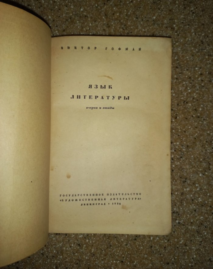 Гофман Виктор. Язык литературы. Очерки и этюды