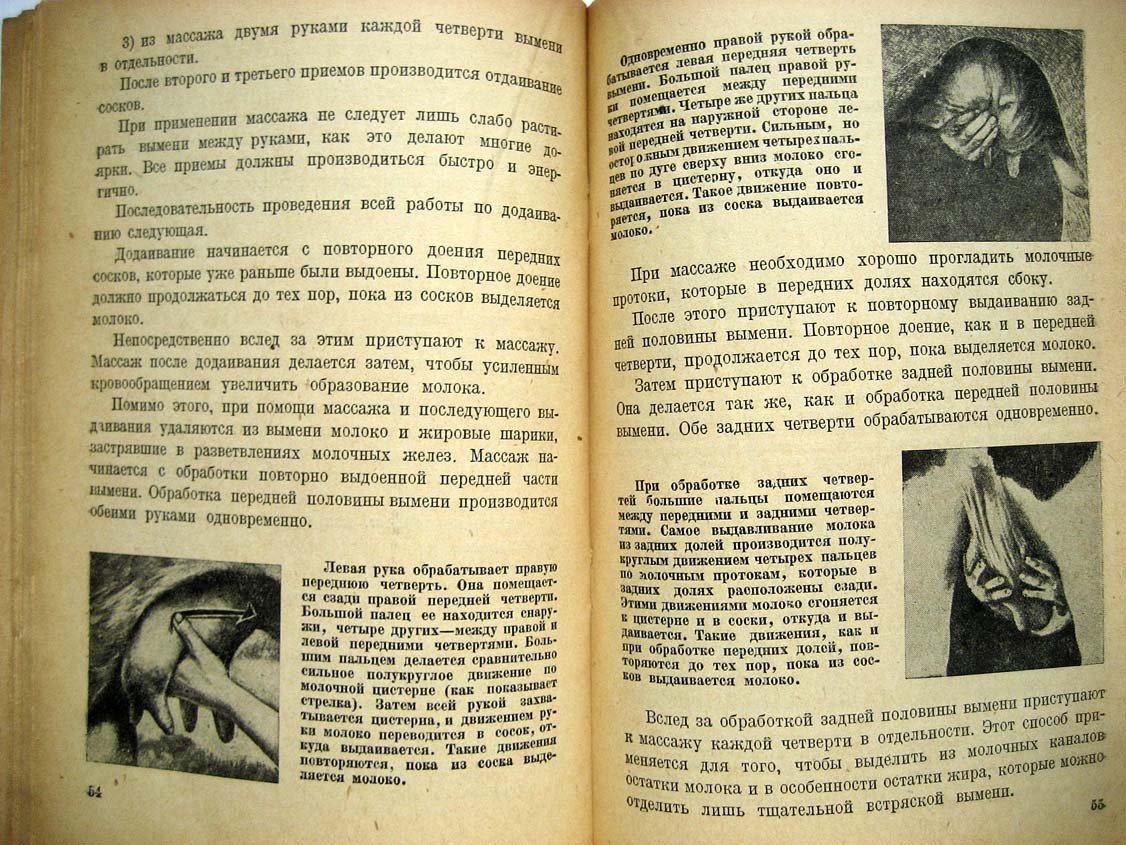 Бориневич В. Практическое руководство по дойке коров.