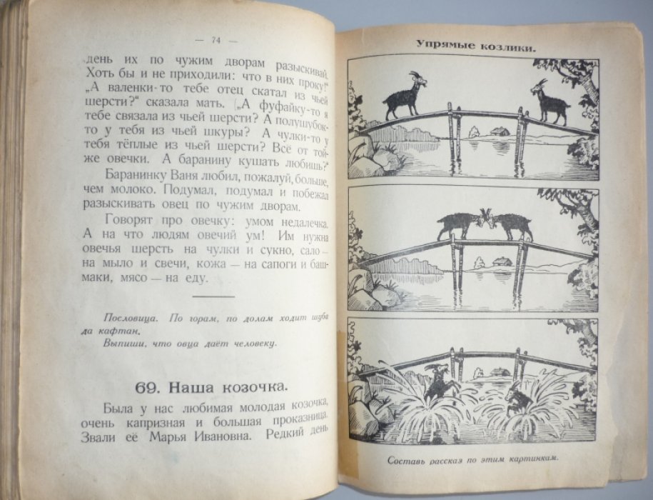 Тихоницкий Е., Андреева Е., Максимович Т. Родной язык. (Первая книга для чтения).