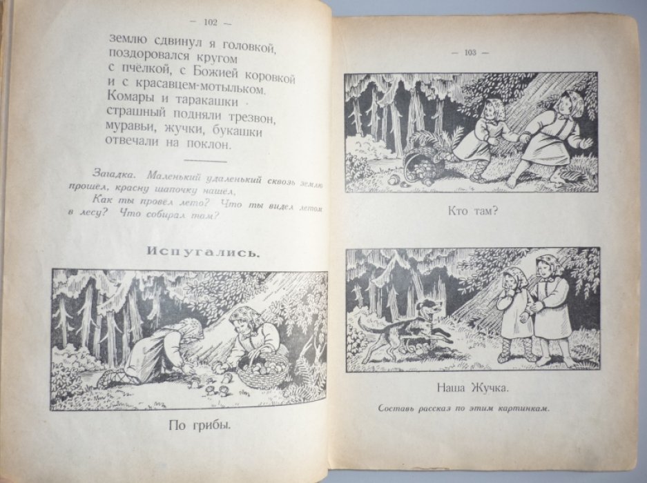 Тихоницкий Е., Андреева Е., Максимович Т. Родной язык. (Первая книга для чтения).