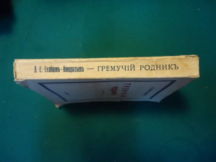 Скобцов-Кондратьев Д.Е. Гремучий родник.
