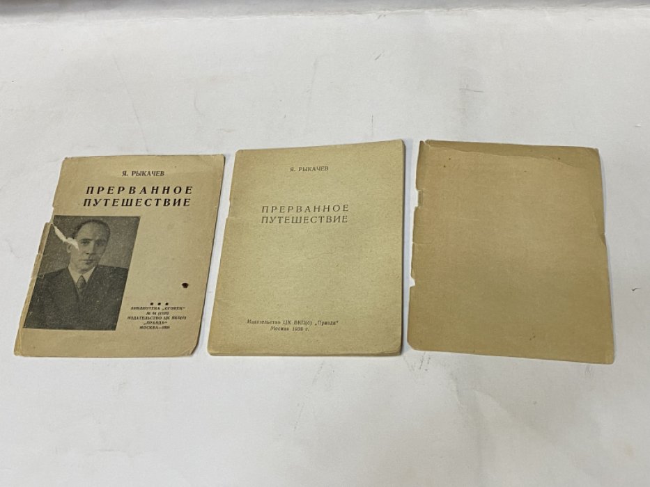 Рыкачев Я. Прерванное путешествие.