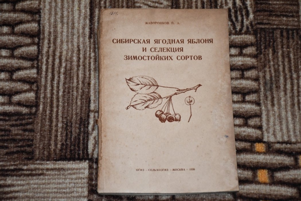 Жаворонков П. Сибирская ягодная яблоня и селекция зимостойких сортов.