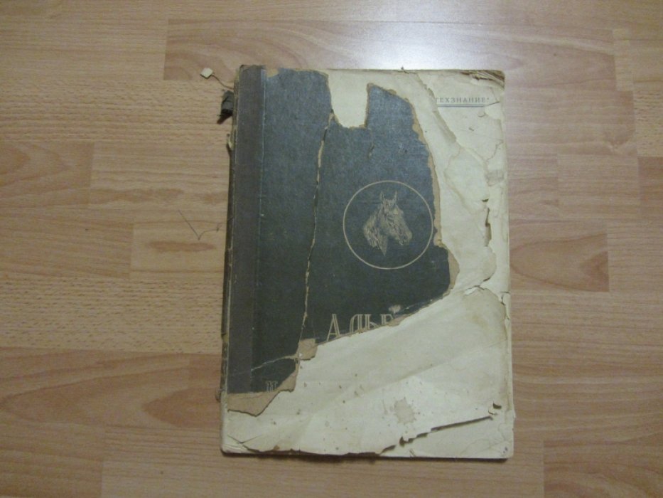 Онисимов В.Н., Рогалевич М.И. Породы, экстерьер и разведение лошадей.