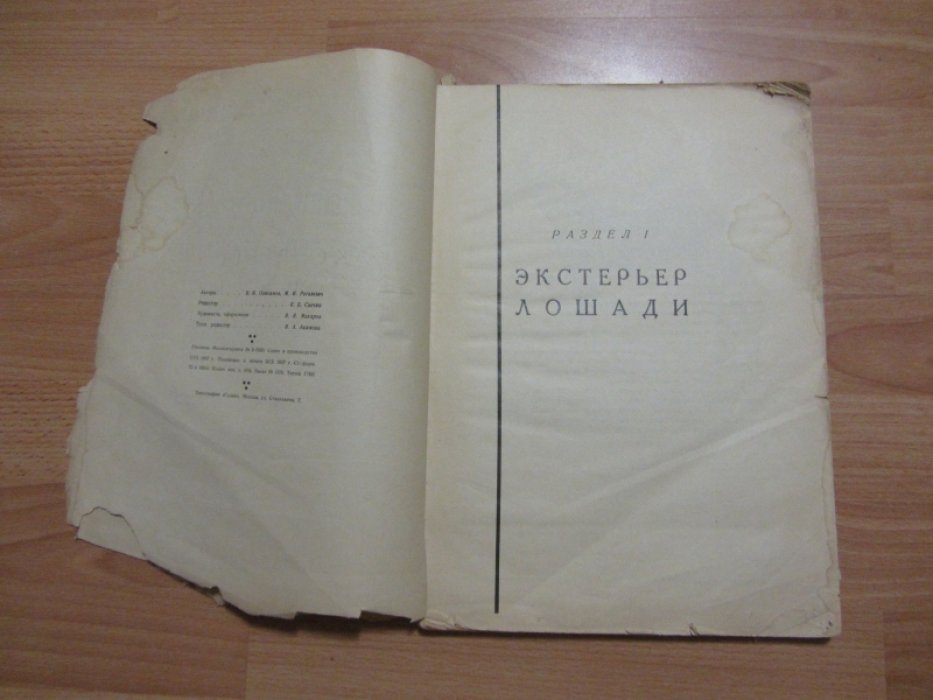 Онисимов В.Н., Рогалевич М.И. Породы, экстерьер и разведение лошадей.