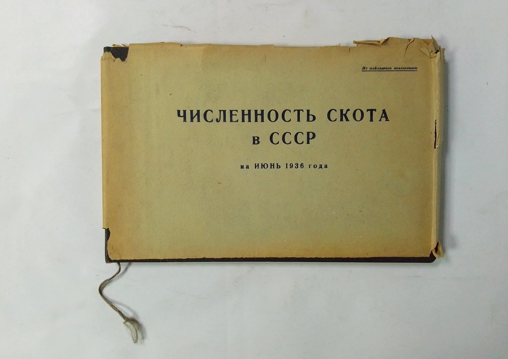 Численность скота в СССР.