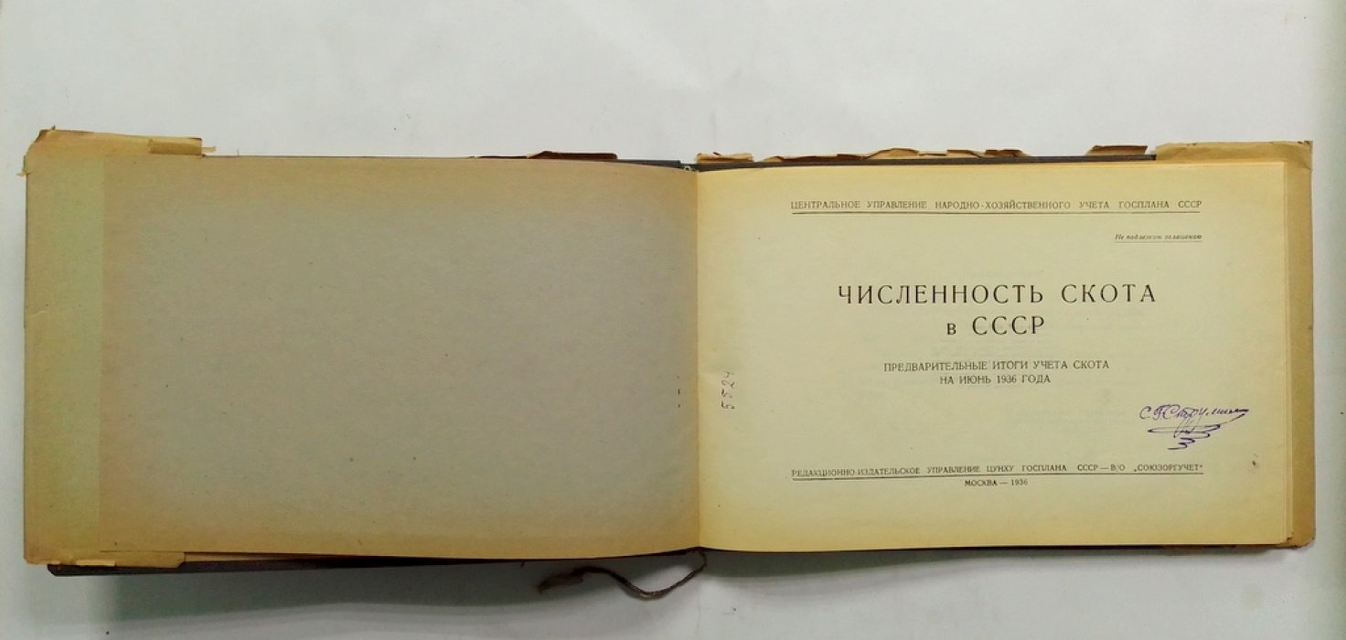 Численность скота в СССР.