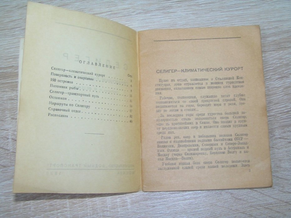 Феденко И. И. Селигер.