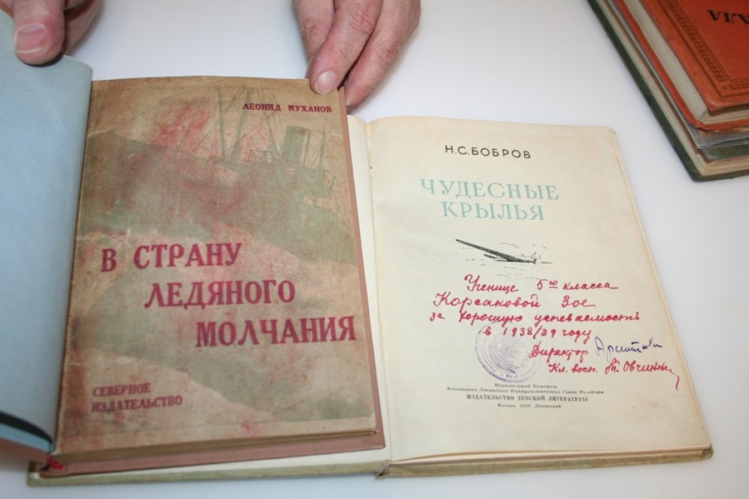 Бобров Н.С. Чудесные крылья.