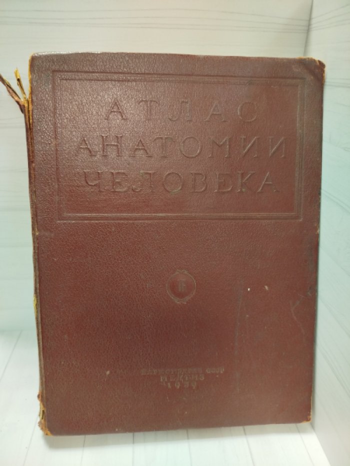 Воробьев В.П. Атлас анатомии человека. В 5-ти томах. Том 3.