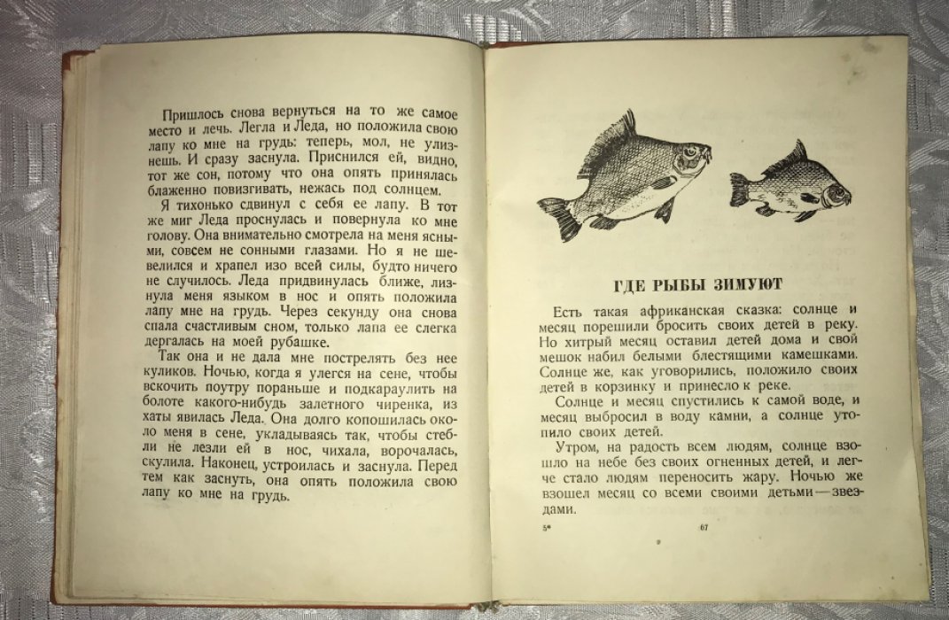 Иогансен М. Г. Хитрые утки.