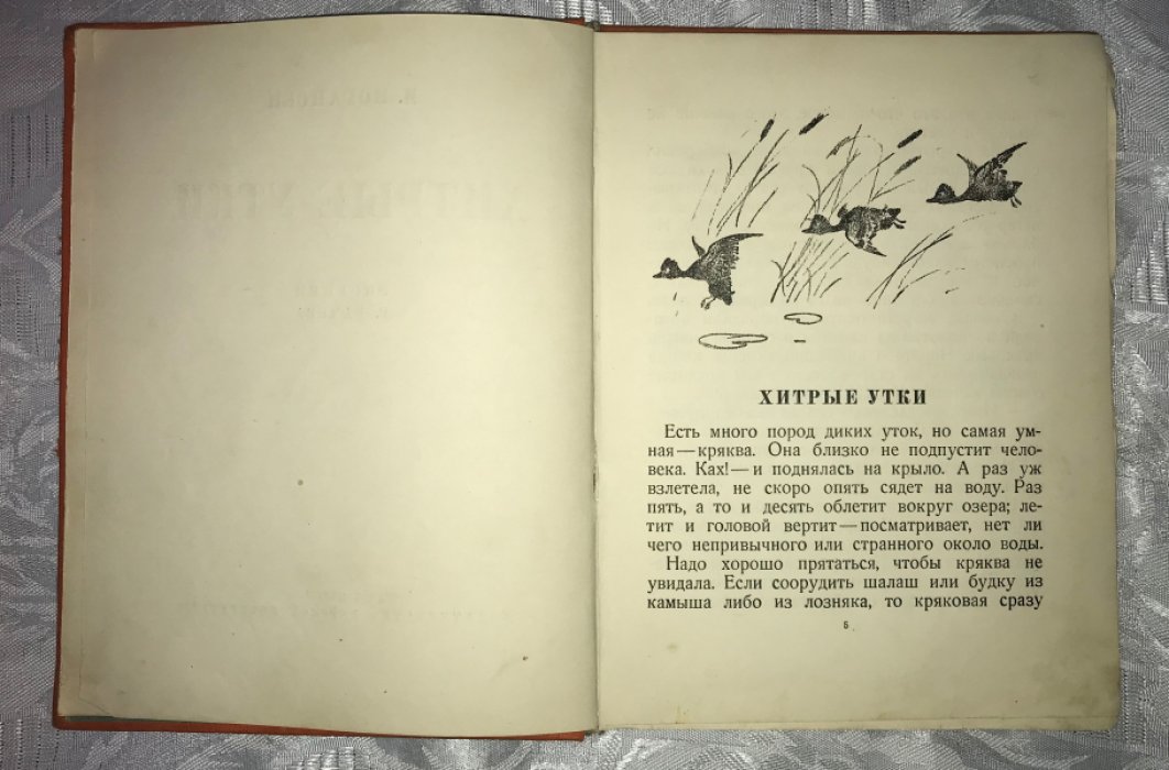 Иогансен М. Г. Хитрые утки.