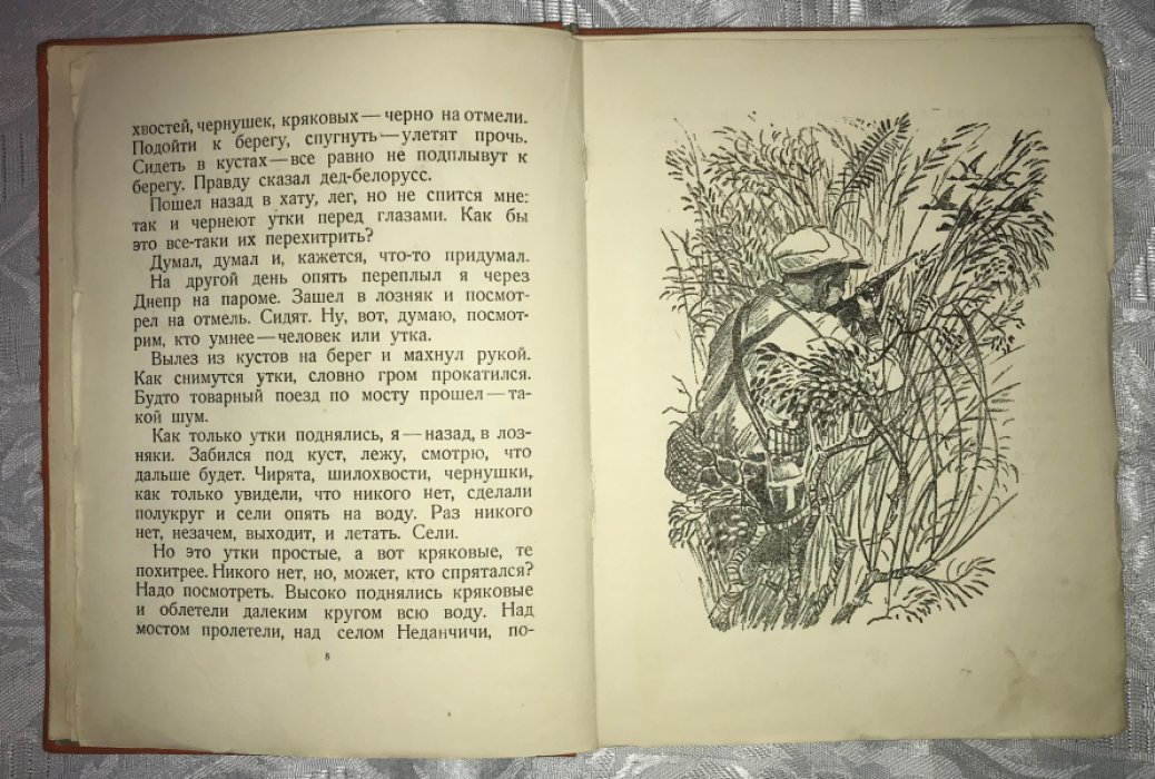 Иогансен М. Г. Хитрые утки.