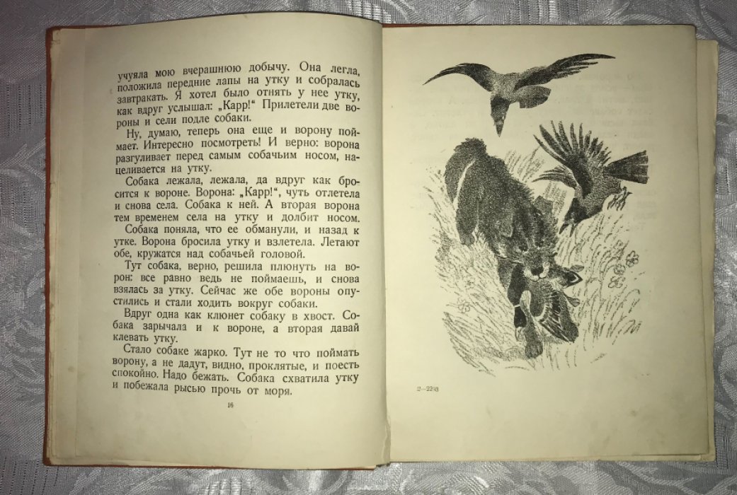 Иогансен М. Г. Хитрые утки.