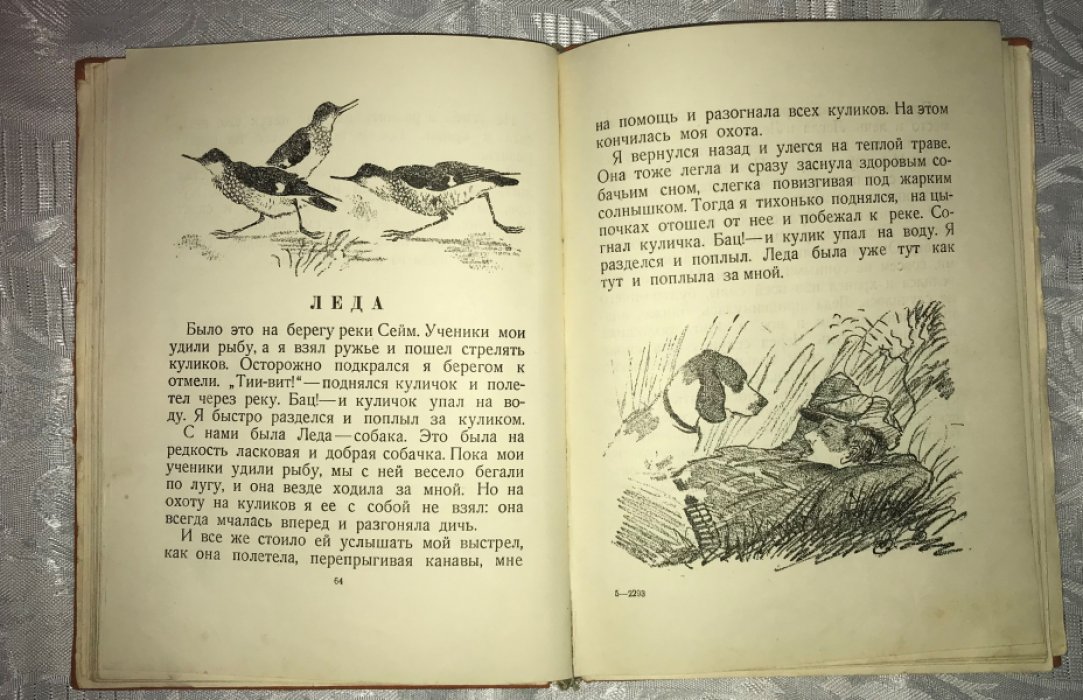 Иогансен М. Г. Хитрые утки.