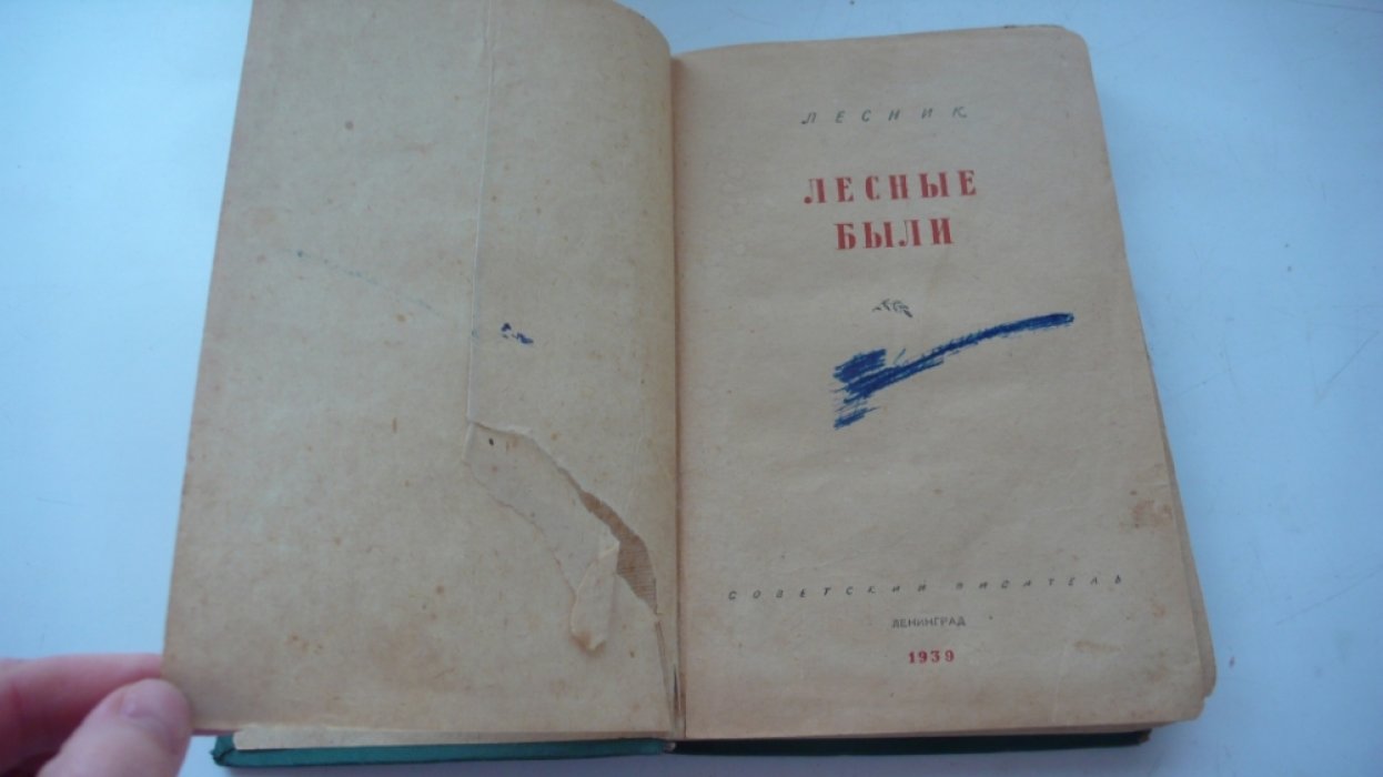 Лесник. Лесные были.