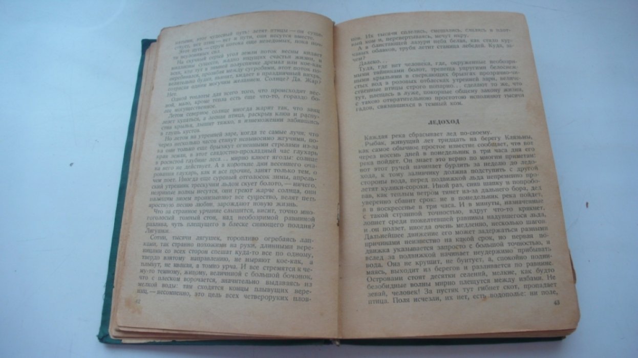 Лесник. Лесные были.