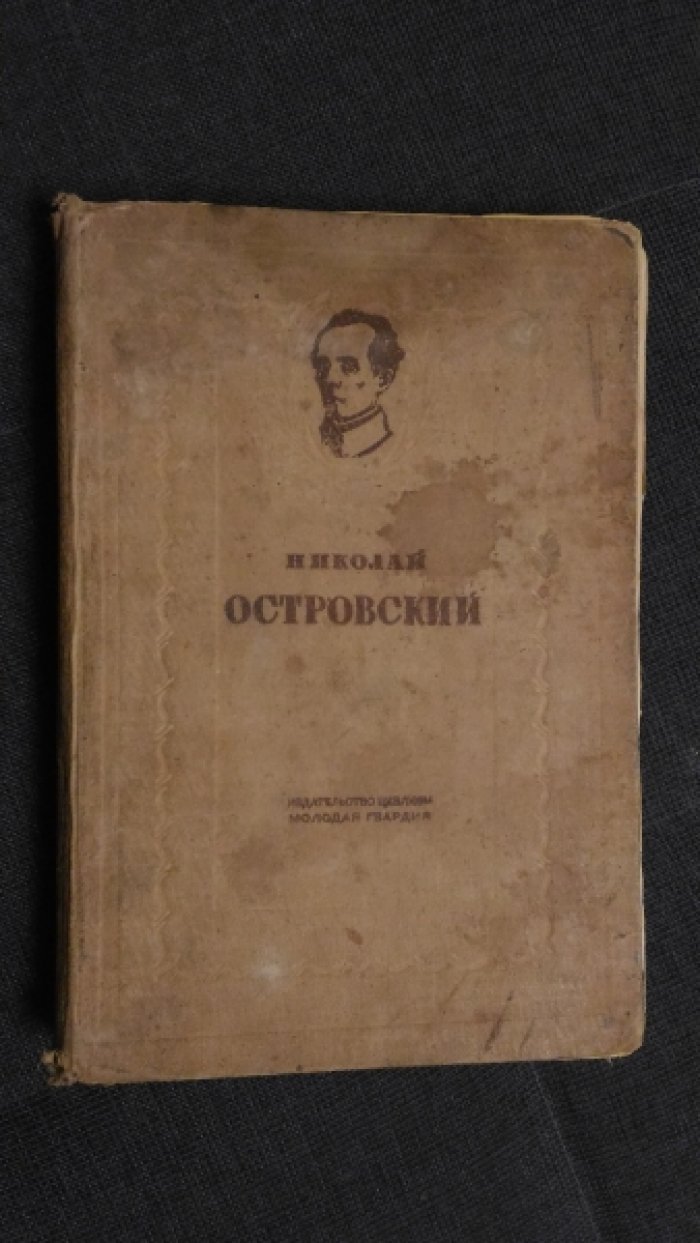 Островский Н. Как закалялась сталь. Рожденные бурей. 