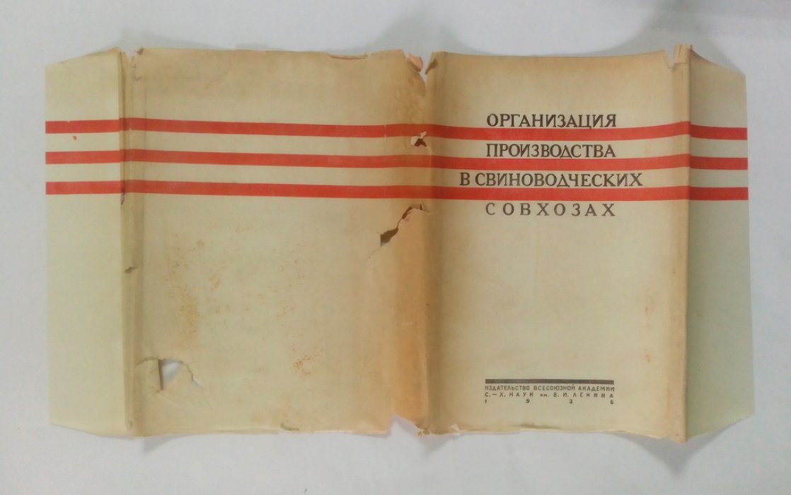 Организация производства в свиноводческих совхозах.