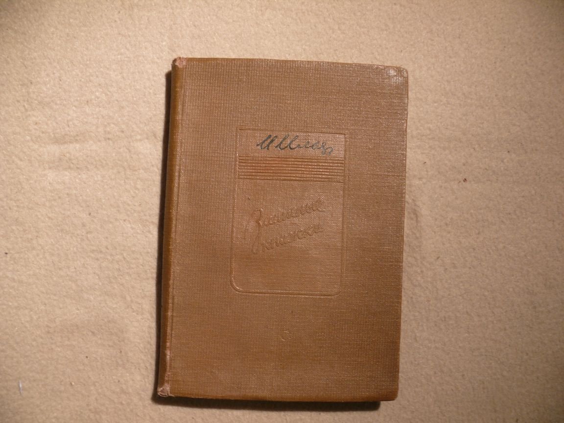 Ильф Илья. Записные книжки.
