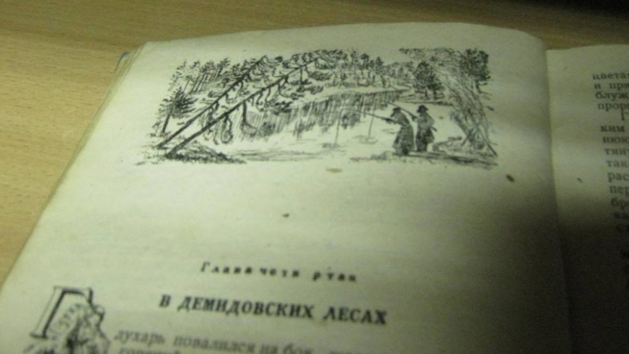 Бармин А. Старый соболь.
