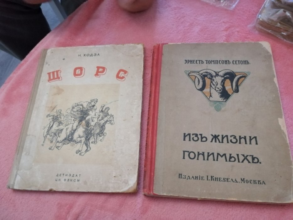 Ходза Н. Щорс. Боевые эпизоды.