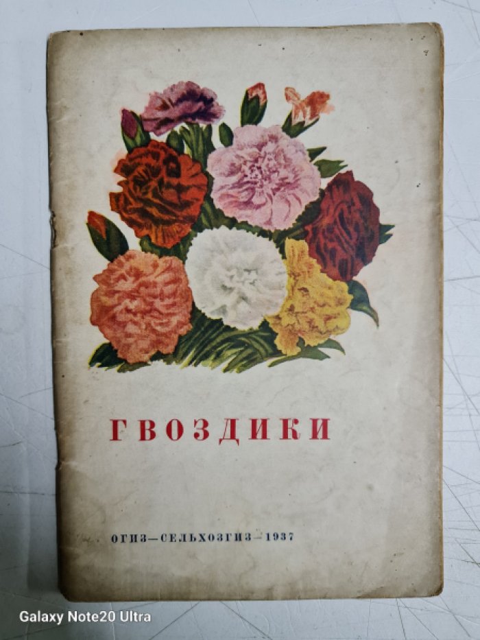 Моттэ З. Гвоздики.