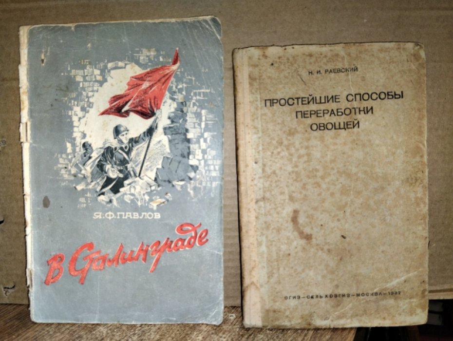Раевский Н.И. Простейшие способы переработки овощей.