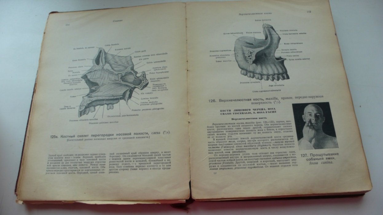 Воробьев В.П. Атлас анатомии человека. Т.1:Учение о костях Osteologia.